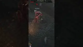 Fighting the Den Mother Boss from the Light's Watch Dungeon