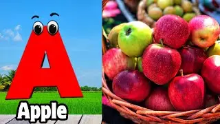 ABC Phonics Song | Learn ABC Alphabet for Children | Education ABC Nursery Rhymes