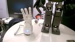RH6D Child Size Robot Hand dexterity demo and RH4D Manipulator versatility Demo