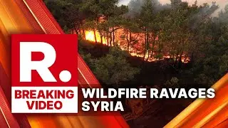 Massive Wildfire Ravages Latakia: Syrian Civil Defense Battles Flames, One Firefighter Injured
