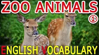 Learn Zoo Animals Names in English #1 | English Vocabulary For Beginners