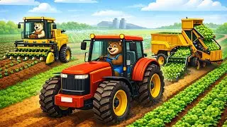 Bear Vegetable Mechanized Farm 🚜🥬 | Modern Farming Animation | Sunny Bear Farm Animation