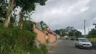 Driving through Walkers Wood | Jamaica