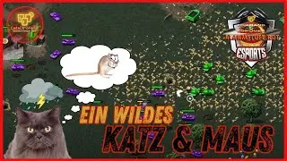 C&C Red Alert | Docci Vs Scara | ESports 2024 LIVE mit @nomarino