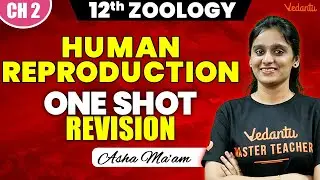 12th Zoology | CH 2 Human Reproduction One Shot Revision | Public Exam 2025 | Asha Ma'am