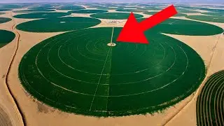 Wie Saudi Arabien die Wüste in fruchtbares Land verwandelt!