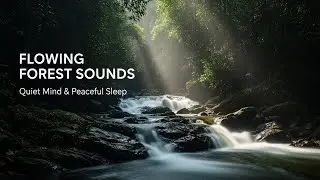 Soothing Forest Ambience with Flowing Water Sounds for Sleep Study Meditation and Inner Peace
