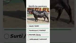 Agri Practical | MOCK TEST 1| PART-1|#kcet#agripractical#practicalexam#practicaltest#kea#shorts
