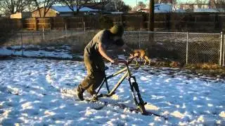 LENZ SPORT MERCENARY
