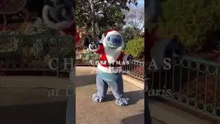 A Day in Disneyland Paris at Christmas