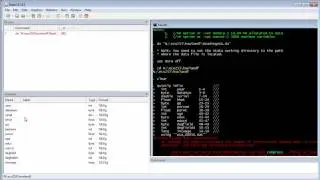 Downloading IPUMS files into Stata