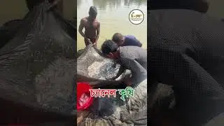 ভৈরত প্রবাসী বেলাল ভাইয়ের সমন্বিত খামার31 January, 2026