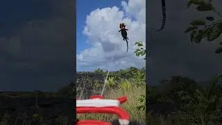 Flying 39ft gecko kite over the lava in Kalapana Hawaii