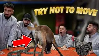 Semih & Jordan TRY NOT TO MOVE Challenge ( VOLL STREAM )