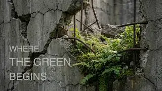 Ander Ivan - Where the Green Begins