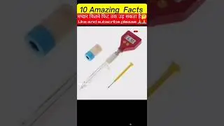 10 Amazing Facts | #shorts  #shortsfeed  #youtubeshorts