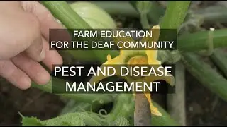Farm Education for the Deaf Community - Crop Pests (American Sign Language)