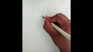 #drawing ec to draw