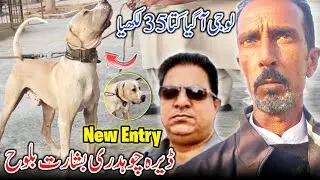 New Entry at Dera Ch Basharat Baloh 😍 Aa Gya Kuta 35 Lakhiya || Full Vlog