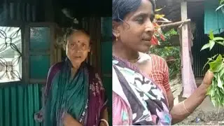 আজ ললিতা দিদি পাট পাতা দিয়ে কি করলো।