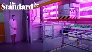&lsquo;GigaFarm&rsquo; capable of replacing food imports set for construction in Dubai