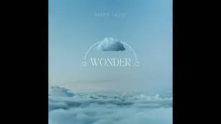 Wonder