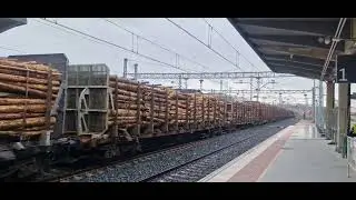Captrain 335-021 con maderas de Lugo pasando Monforte destino Portugal. 