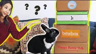 COMPARING ALL THE BUNNY SUBSCRIPTION BOXES! 😱