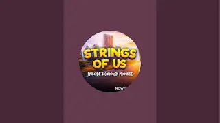 EVERDAN'S TV  is live! &ldquo;The Truth About Strings of Us