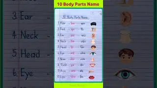 10 Body Parts Name in English and Hindi | Body Parts Name | Human Body Parts Name #shorts #words