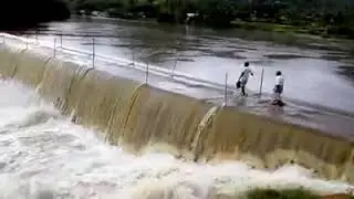 Palaru