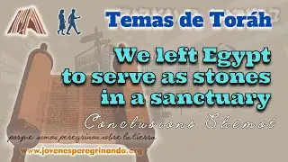 We left Egypt to serve as stones in a sanctuary || (Exodus 40 & Conclusion)