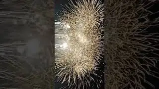 4TH OF JULY | AMERICA INDEPENDENCE DAY #peoria #america #chicago #4thofjuly #youtube #viral #yt #usa
