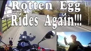 The Rotten Egg Returns