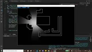Ray cating with solved optimisation problem, Python Pygame