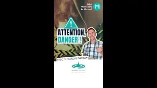 Attention, danger ! (format portrait - MMM 591)