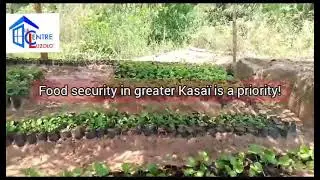 DIASPORA CONGOLAISE: Venez investir au Grand Kasa&iuml;. Invest in Greater Kasa&iuml; for food security !