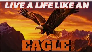 I 6 Powerful Life Lessons We Can Learn from the Eagle | Success, Focus, and Fearlessness I