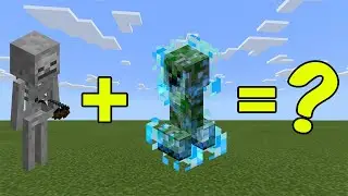 I Combined a Skeleton and a Charged Creeper in Minecraft - Here's WHAT Happened...