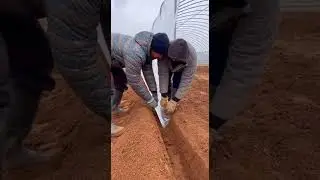 Rural Greenhouse Construction! 8 Farmers Save Water Efficiently
