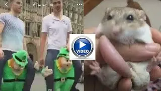 Hypstar|| Funny Short Video Maker|| In Play Store|| Download|| By Android Apps||