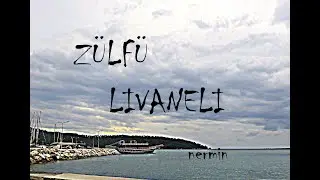 ZÜLFÜ LİVANELİ Türkan Saylan