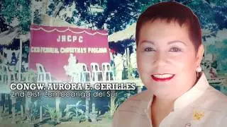 JH Cerilles State College