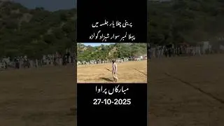 Preni chala yar bail dor jalsa Pehla Number shahzad golrah |first position premi chala yar bull race