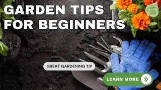 Victory Garden 2.0 Tips for Beginning Gardeners - How to have your best growing season ever!