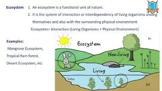 What is Ecosystem?  || Ecosystem అంటే ఏమిటి? || La Excellence