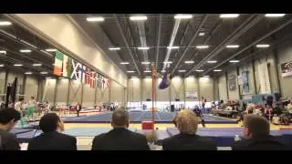 Idr&aelig;tsgymnastik