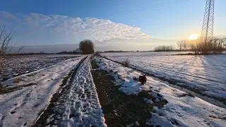 Popodnevna &scaron;etnja,Pari i ja, Ace Pro 2 Dji mic mini