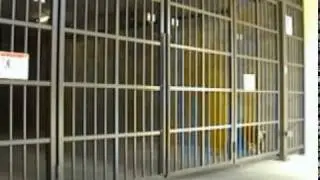 Four-Folding Swing Gate in Action!