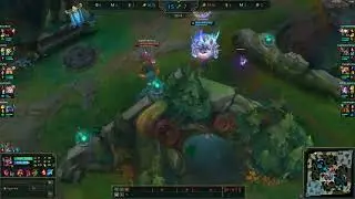The Krug Box Trap